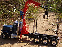 peterbilt_359_logger_001.jpg