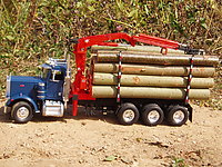 peterbilt_359_logger_002.jpg