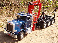 peterbilt_359_logger_003.jpg