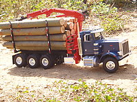 peterbilt_359_logger_004.jpg