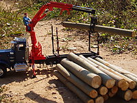 peterbilt_359_logger_006.jpg