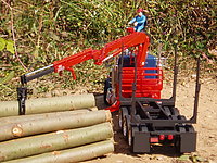peterbilt_359_logger_007.jpg