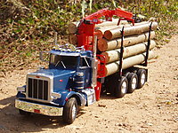 peterbilt_359_logger_008.jpg