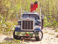 peterbilt_359_logger_009.jpg