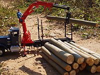 peterbilt_359_logger_010.jpg