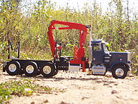 peterbilt_359_logger_012.jpg