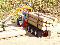 peterbilt_359_logger_013.jpg