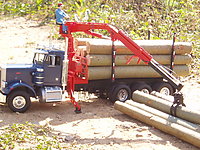 peterbilt_359_logger_016.jpg