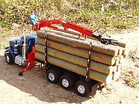 peterbilt_359_logger_020.jpg
