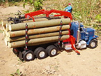 peterbilt_359_logger_021.jpg