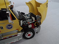 international_pro-star_020.jpg