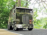 white_freightliner_003.jpg