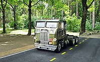 white_freightliner_006.jpg