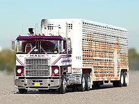 mack_cruise-liner_love_machine_001.jpg