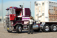 mack_cruise-liner_love_machine_002.jpg