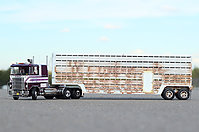 mack_cruise-liner_love_machine_004.jpg