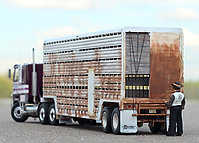 mack_cruise-liner_love_machine_007.jpg
