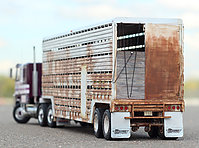 mack_cruise-liner_love_machine_008.jpg