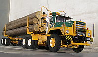 mack_dm800_logger_031.jpg