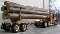 mack_dm800_logger_036.jpg