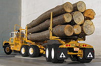 mack_dm800_logger_037.jpg