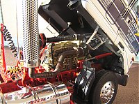 white_road_commander_2_022.jpg