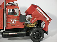 white_western_star_014.jpg