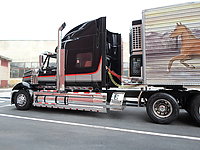 international_lone_star_012.jpg